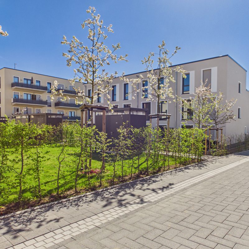 FÜNF HÖFE Fuchskaule Köln Porz